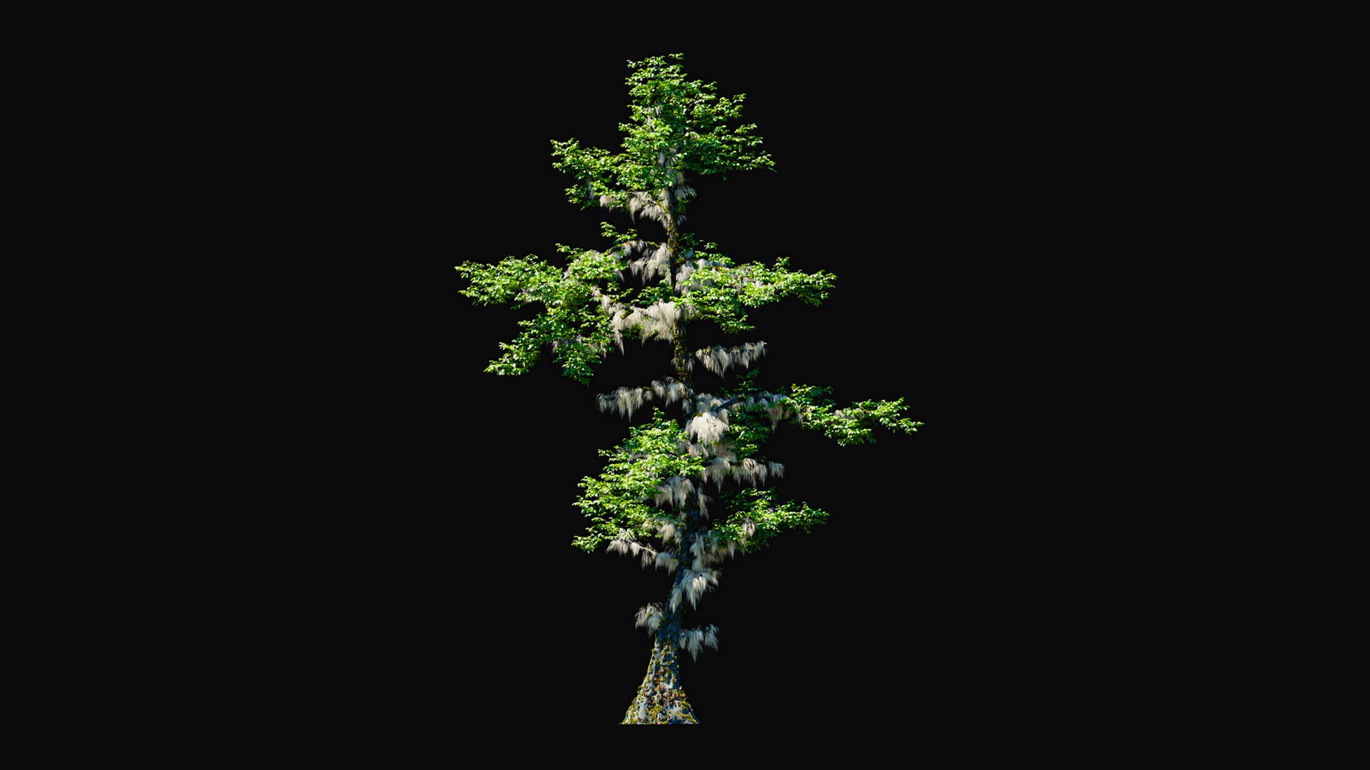 3D model Huge All In One Tree Set Pack https://p.turbosquid.com/ts-thumb/vS/JE1IHc/gm/foresttreemodels30/jpg/1744566193/1920x1080/fit_q87/28526fd17d37fea9c6149bf8ec3d2a209bdc5c1e/foresttreemodels30.jpg