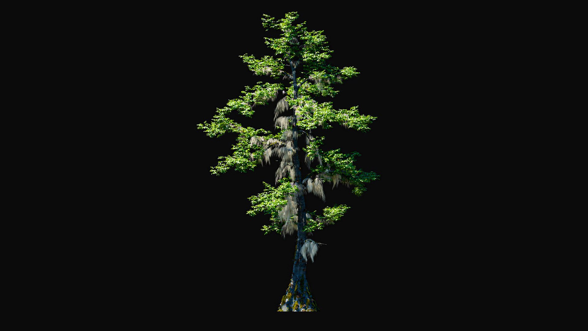 3D model Huge All In One Tree Set Pack https://p.turbosquid.com/ts-thumb/vS/JE1IHc/h4/foresttreemodels28/jpg/1744566191/1920x1080/fit_q87/f7d4e7c38625ed7b5da6fac3b2315869976b3238/foresttreemodels28.jpg