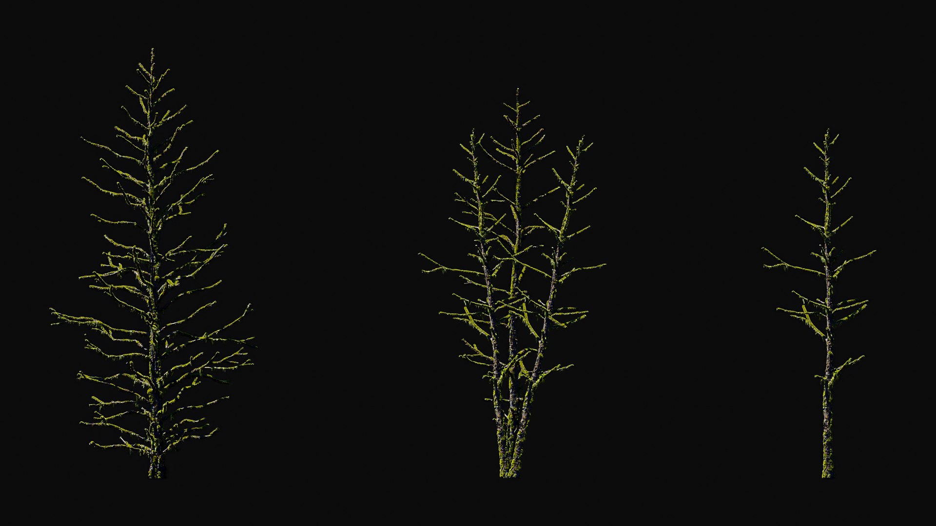 3D model Huge All In One Tree Set Pack https://p.turbosquid.com/ts-thumb/vS/JE1IHc/lC/foresttreemodels12/jpg/1744566173/1920x1080/fit_q87/13cef91df655cb52567fcf883093e7293a194f3b/foresttreemodels12.jpg