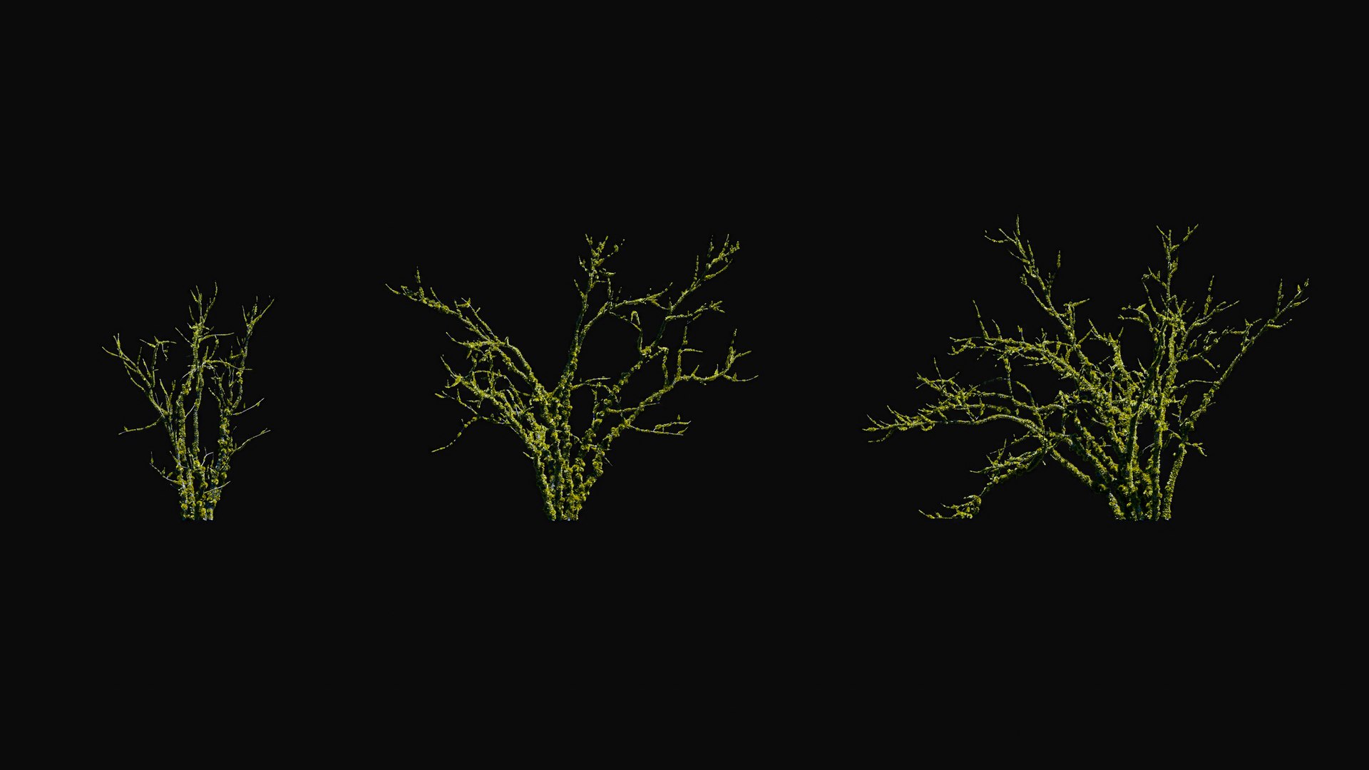 3D model Huge All In One Tree Set Pack https://p.turbosquid.com/ts-thumb/vS/JE1IHc/mn/foresttreemodels21/jpg/1744566160/1920x1080/fit_q87/d50c2363b5b1b63f380b59c922faed9f4ae5f7e6/foresttreemodels21.jpg