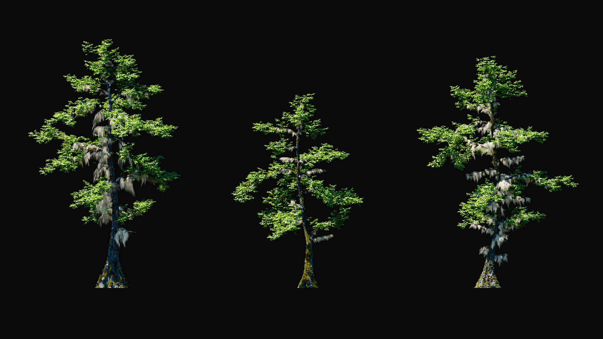 3D model Huge All In One Tree Set Pack https://p.turbosquid.com/ts-thumb/vS/JE1IHc/nb/foresttreemodels23/jpg/1744566162/1920x1080/fit_q87/33791e4697ace76f3bdeaf326cf1b4509d210c9a/foresttreemodels23.jpg