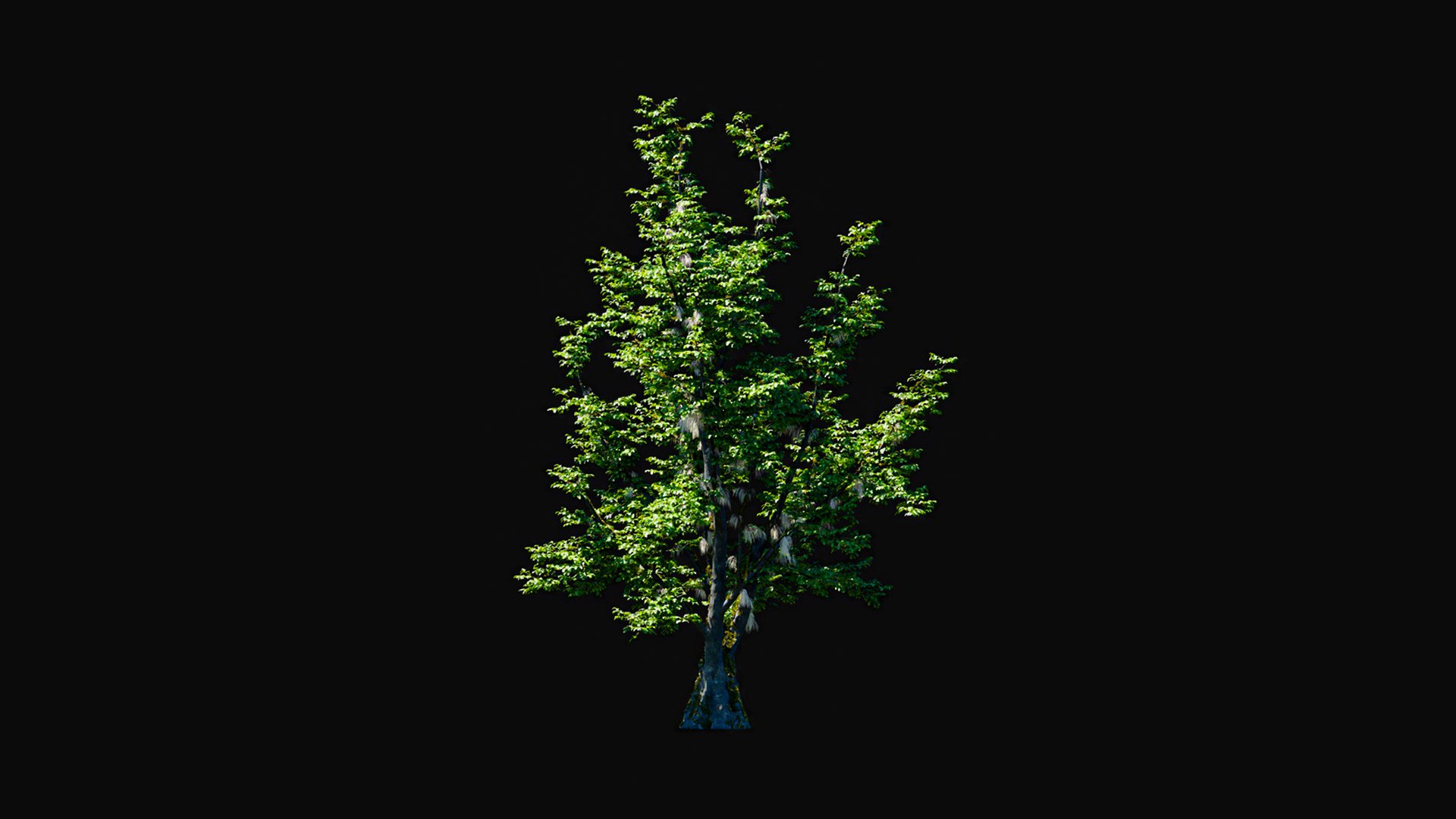 3D model Huge All In One Tree Set Pack https://p.turbosquid.com/ts-thumb/vS/JE1IHc/pe/foresttreemodels26/jpg/1744566191/1920x1080/fit_q87/0bf48610973718e3408bba0f6d3a91ee5bc2c64e/foresttreemodels26.jpg