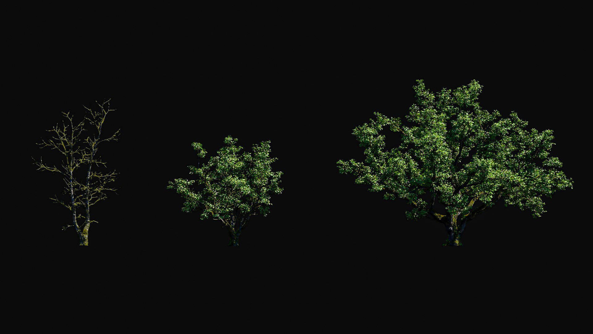 3D model Huge All In One Tree Set Pack https://p.turbosquid.com/ts-thumb/vS/JE1IHc/qe/foresttreemodels6/jpg/1744566168/1920x1080/fit_q87/80ed6fd26d48f4fb1b4307fc811b006a1ecd269b/foresttreemodels6.jpg