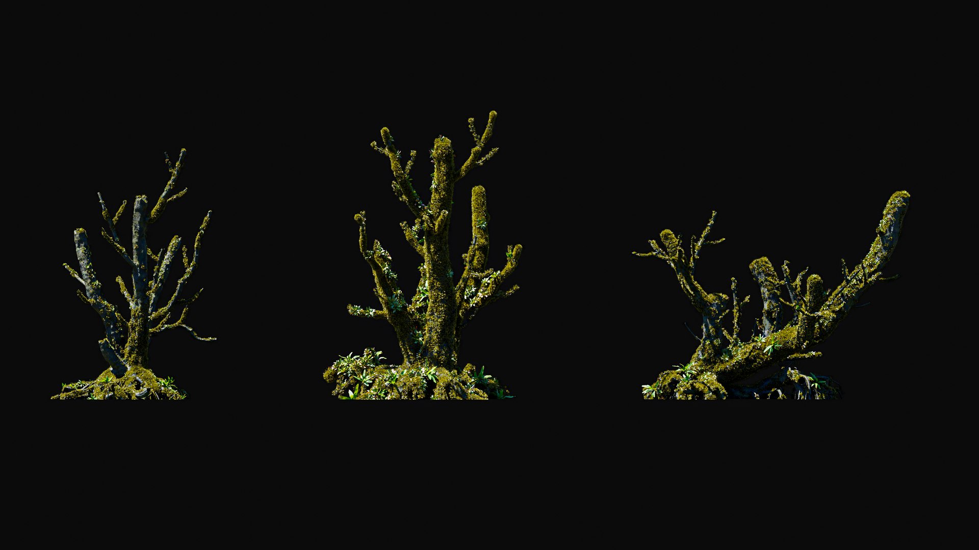 3D model Huge All In One Tree Set Pack https://p.turbosquid.com/ts-thumb/vS/JE1IHc/rH/foresttreemodels17/jpg/1744566158/1920x1080/fit_q87/0b8901529331229ecfd658856c921fabea88ed36/foresttreemodels17.jpg