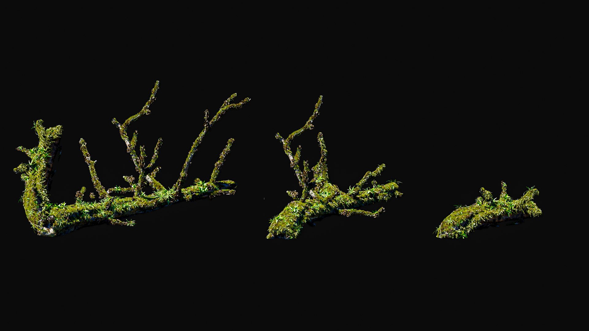 3D model Huge All In One Tree Set Pack https://p.turbosquid.com/ts-thumb/vS/JE1IHc/tc/foresttreemodels8/jpg/1744566170/1920x1080/fit_q87/5be8508858eb9dd3b2a7e69e5886245c5e13150a/foresttreemodels8.jpg