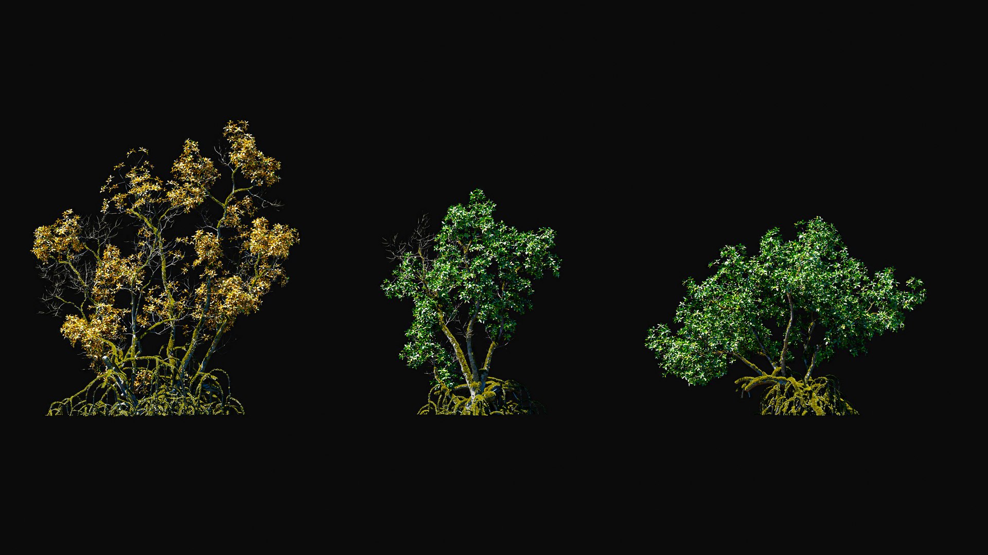 3D model Huge All In One Tree Set Pack https://p.turbosquid.com/ts-thumb/vS/JE1IHc/zO/foresttreemodels10/jpg/1744566170/1920x1080/fit_q87/284d77d87a352209be31b341e3b6e24586129478/foresttreemodels10.jpg