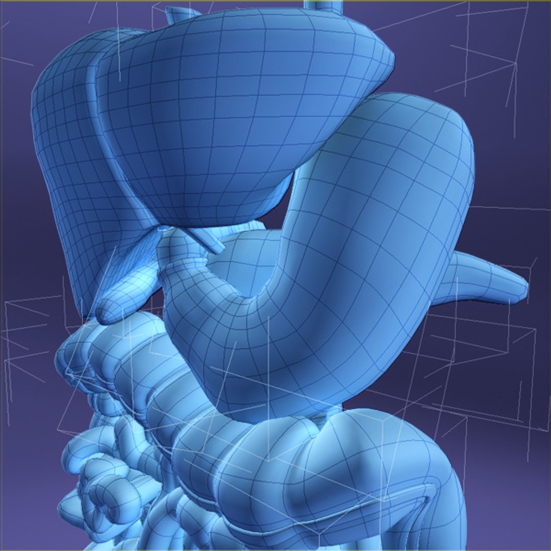 Digestive X-ray 3d Max