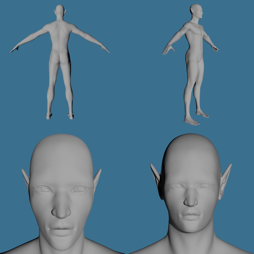 uv mesh body 3D https://p.turbosquid.com/ts-thumb/vS/oTaENZ/FYoRdYPM/01/jpg/1537731957/1920x1080/fit_q87/738ed15452e62c8bb68ebc9c397530d7b2f12b9e/01.jpg