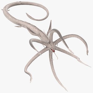 Deep Sea Monster with Radial Limbs White Rigged for Cinema 4D model