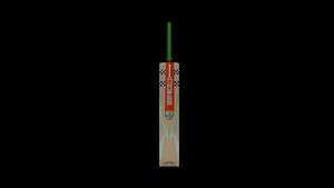 Cricket Bat - Gray Nicolls Tempesta