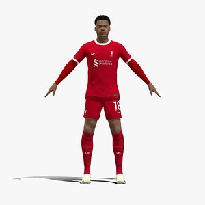 3D 3D Rigged Cody Gakpo Liverpool 2024 model