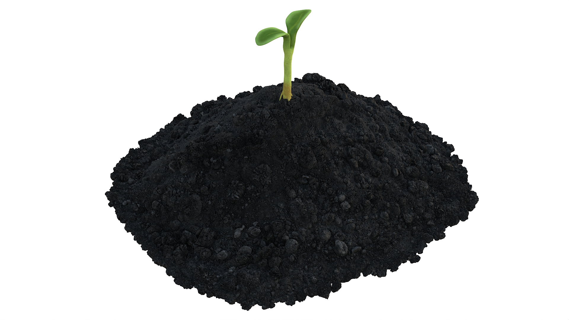 Seedling and Soil model https://p.turbosquid.com/ts-thumb/vT/2jdmrD/qg/seedling_and_soil_360/jpg/1741785119/1920x1080/turn_fit_q99/c56d4fecda5943078f860260bb63576d0112d99e/seedling_and_soil_360-1.jpg