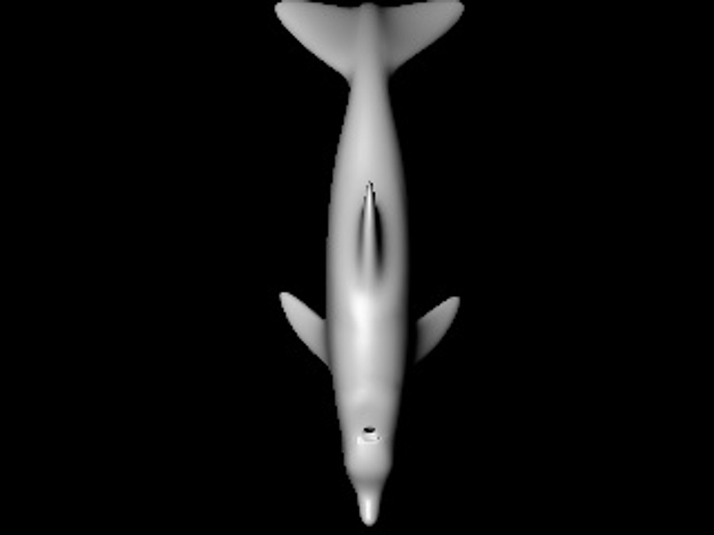 3d c4d dolphin https://p.turbosquid.com/ts-thumb/vT/3uw0ud/NNuEFOXr/dolphintop/jpg/1051822327/1920x1080/fit_q87/6bcd89e4f55f5f958b2cbd0b370f9ed6c0f0b945/dolphintop.jpg