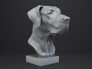 Great Dane Dog Bust 3D model