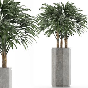 single plant 15 3D