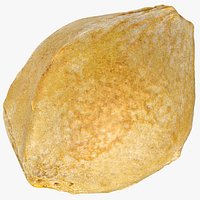Apricot Seed 02