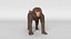 3D Small Monkey Animated