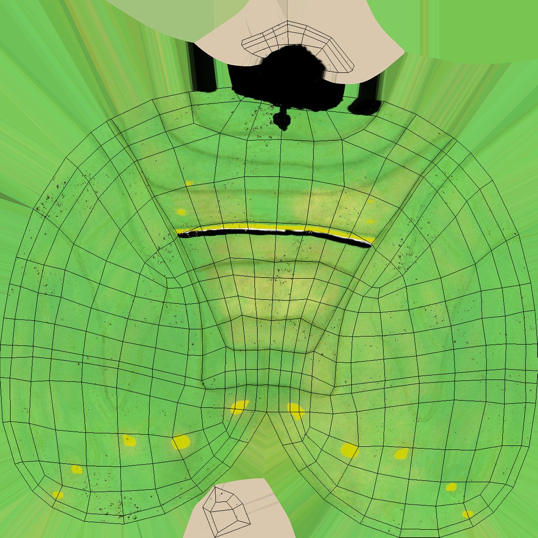 Monarch Butterfly Cocoon 3D Model - TurboSquid 1485114