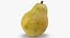 Fruits Collection 10