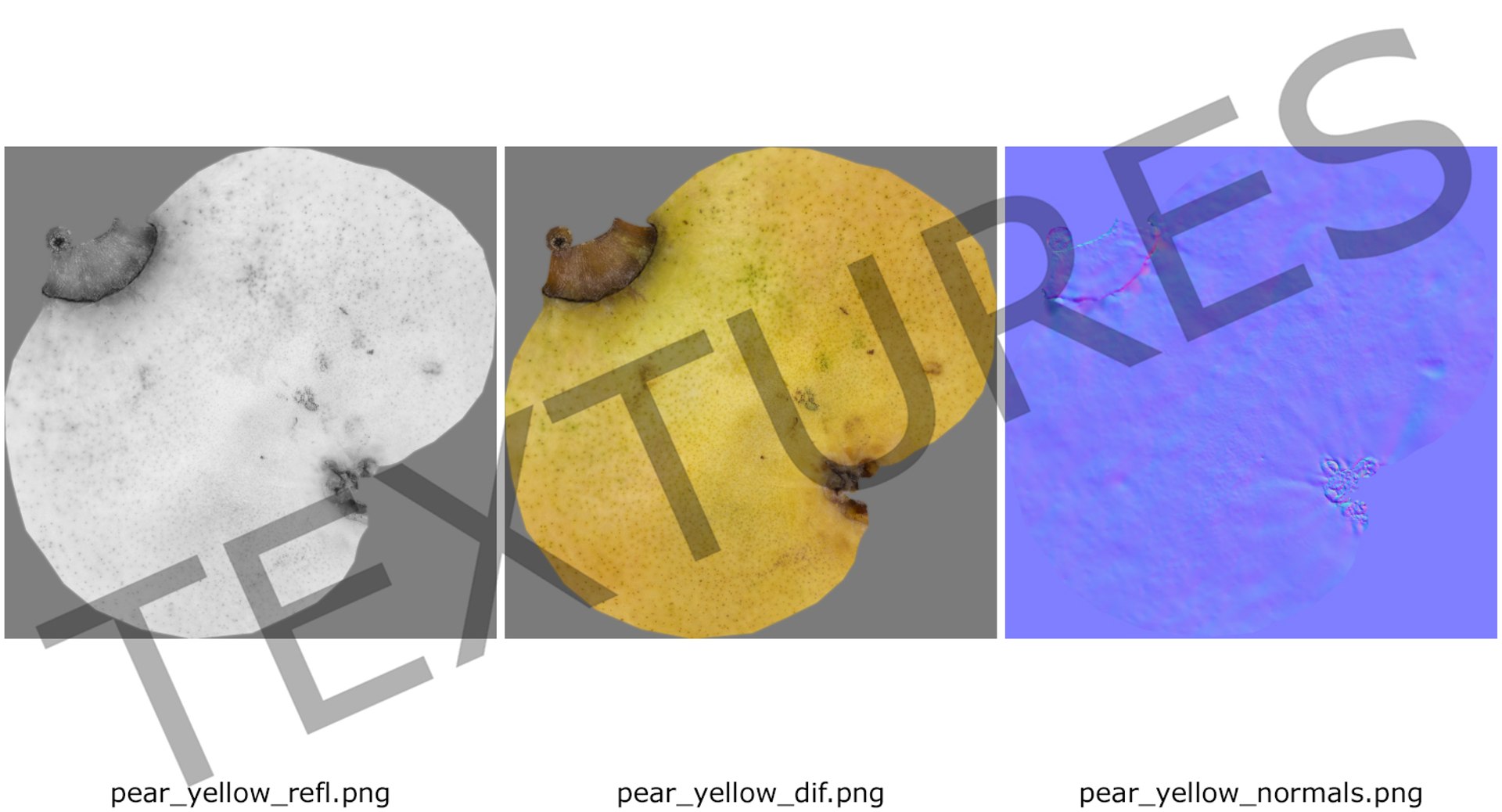 fruit pear 3D https://p.turbosquid.com/ts-thumb/vT/epu13w/hO6u6IZp/pearmb3dmodel025/jpg/1497077649/1920x1080/fit_q87/f9dd100988fba0b3b12ec94fbfe4f965b3a4b75f/pearmb3dmodel025.jpg