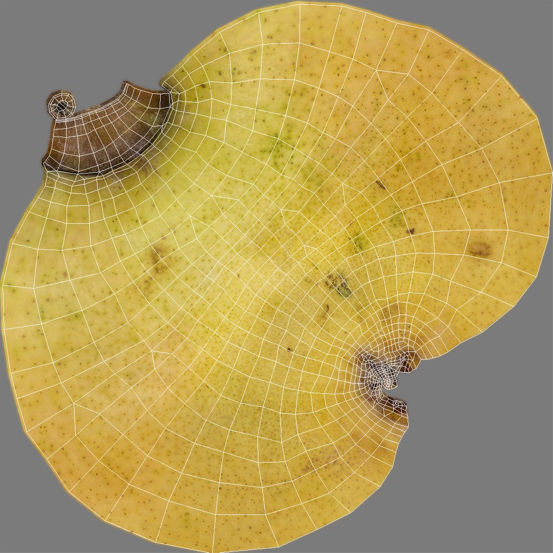 fruit pear 3D https://p.turbosquid.com/ts-thumb/vT/epu13w/yXXrdls6/pearmb3dmodel024/jpg/1497077649/1920x1080/fit_q87/1f44952a3721484e63abf271c0ab5e0a6aa7da5a/pearmb3dmodel024.jpg