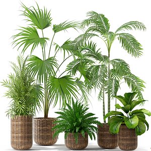 plants 338 3D model