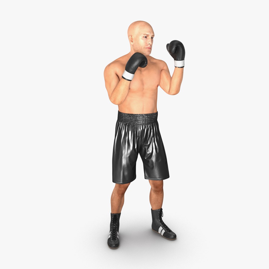 Adult Boxer Man 2 Pose 2 3D Model 3D model preview