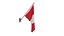 Peruvian Flags