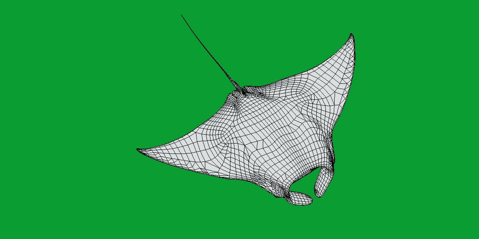 Pink Manta Mobula Ray 3D model https://p.turbosquid.com/ts-thumb/vT/uo5NHM/if/manta_ray20/png/1741390532/1920x1080/fit_q87/459286f742df2738de1a96f4bd41da3134b303cf/manta_ray20.jpg