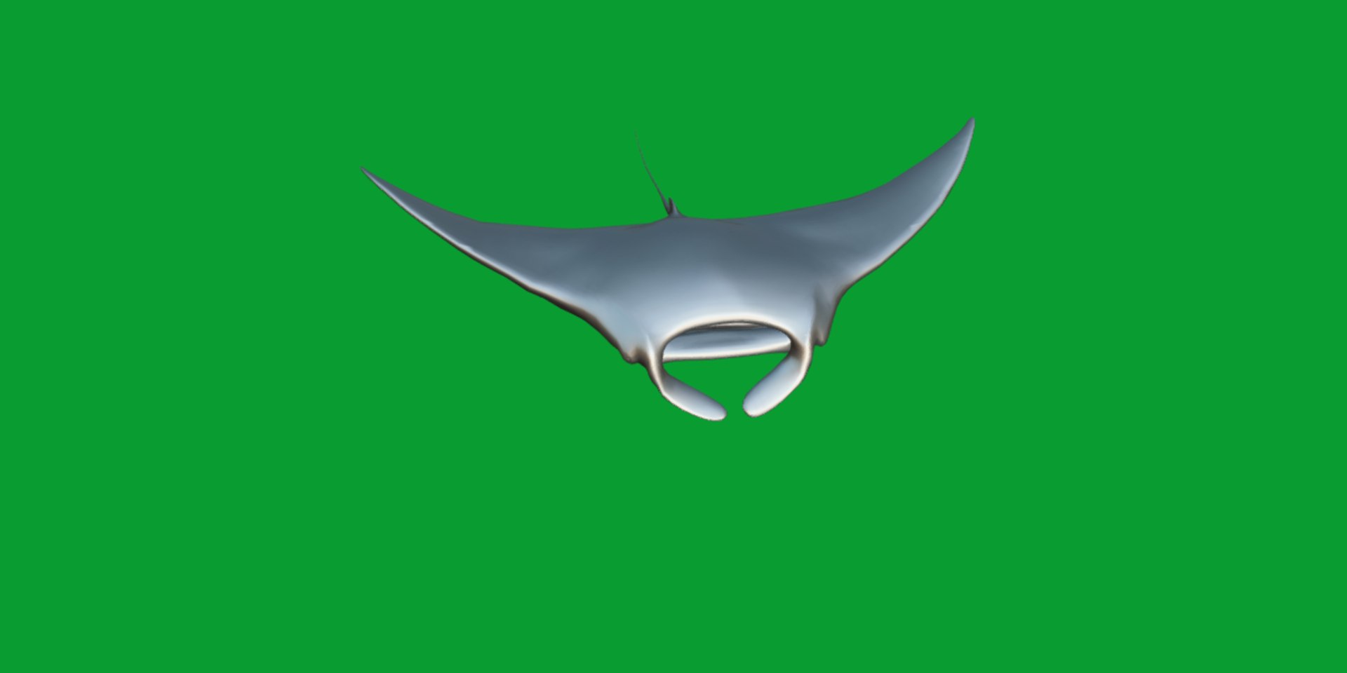 Pink Manta Mobula Ray 3D model https://p.turbosquid.com/ts-thumb/vT/uo5NHM/xN/manta_ray17/png/1741390530/1920x1080/fit_q87/f0bc6528229c7f94acd11e2e979d3df706fb043f/manta_ray17.jpg