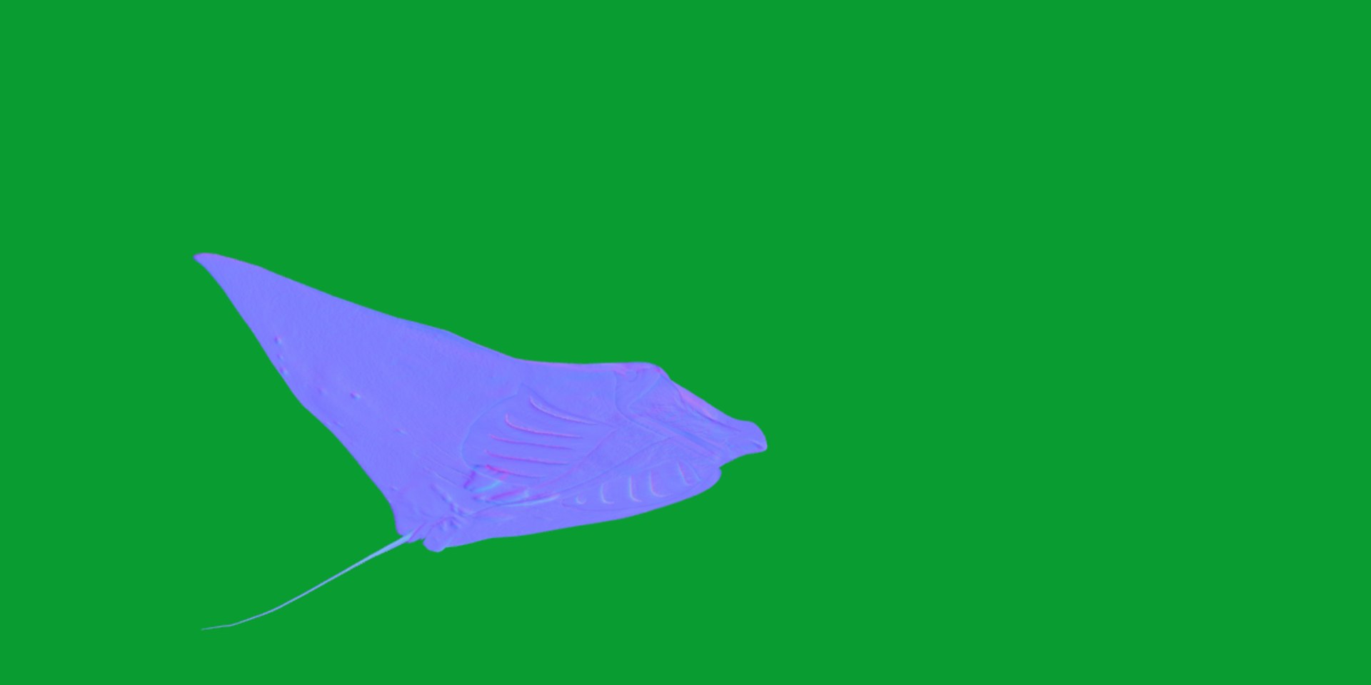 Pink Manta Mobula Ray 3D model https://p.turbosquid.com/ts-thumb/vT/uo5NHM/y8/manta_ray14/png/1741390528/1920x1080/fit_q87/024c8394eec3df8a0759c1bca380cf0680e59da1/manta_ray14.jpg