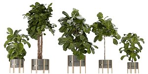 3D Collection plant vol 270 - blender model