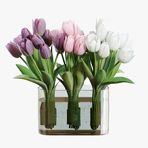 Flower Set 25  White and Purple Tulips Bouquet 3D model