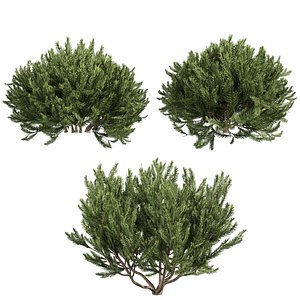 Collection plant vol 993 Corona 7 max 2015 3D model
