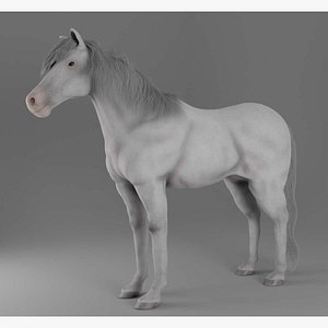 Horse 3D model