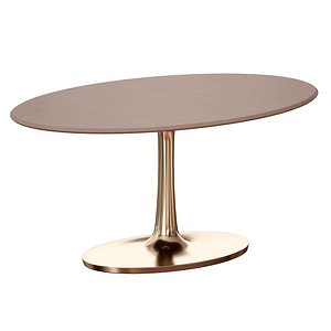 Nero Oval Concrete Dining Table with Brass Base