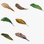 7 diverse foglie autunnali