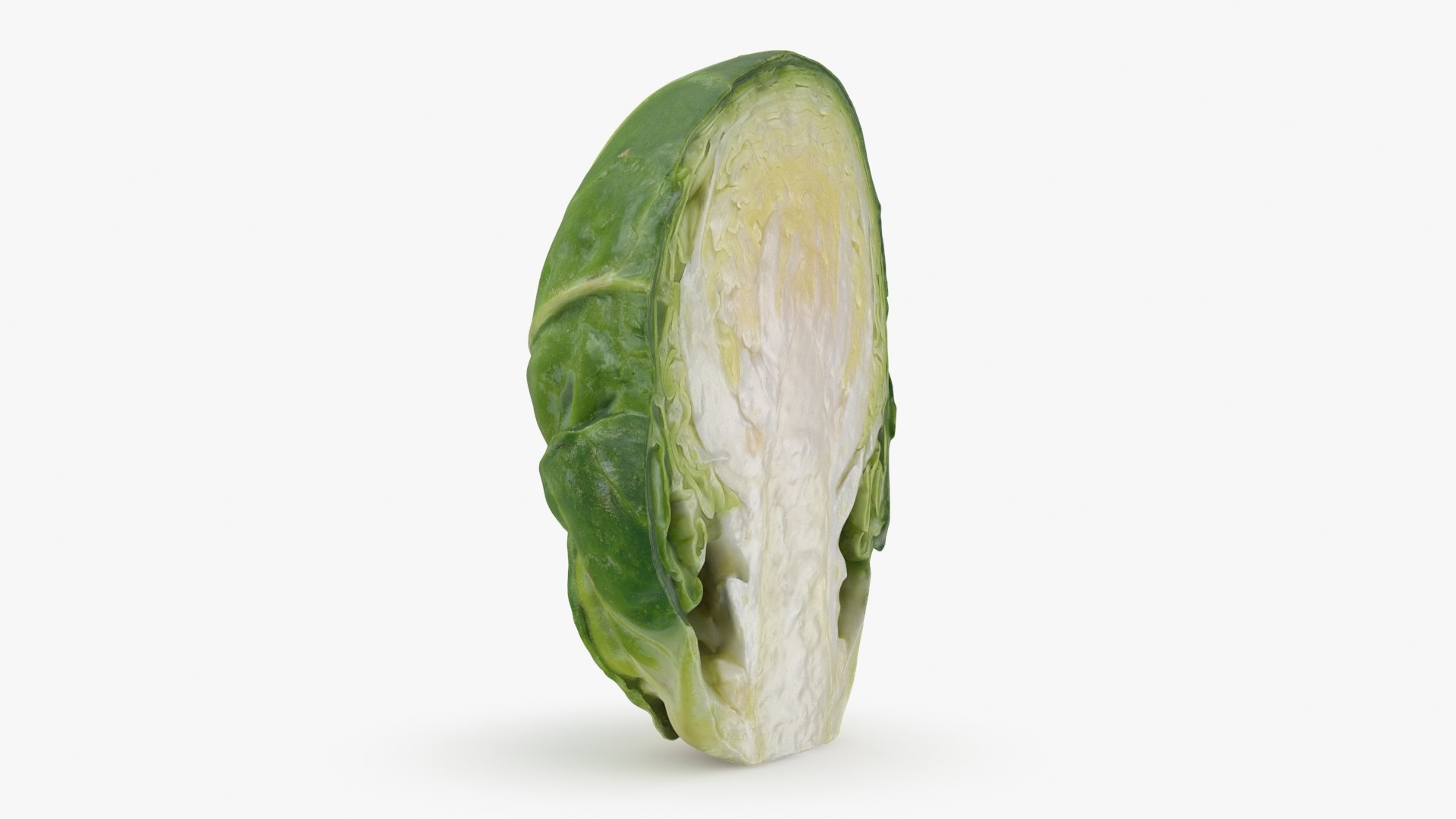 Brussels Sprout Half 01 3D model https://p.turbosquid.com/ts-thumb/vU/CB10Jn/9t/brusselssproutcut1_b0000/jpg/1735561582/1920x1080/fit_q87/1259463ae57498f17ff6fb5f98c5a006cdd1c74c/brusselssproutcut1_b0000.jpg