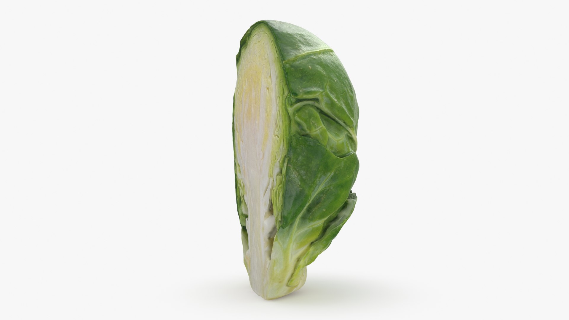 Brussels Sprout Half 01 3D model https://p.turbosquid.com/ts-thumb/vU/CB10Jn/G9/brusselssproutcut1_b0006/jpg/1735561585/1920x1080/fit_q87/b5174712c1d0f33efbabe7c5d17f5ff1bb19c4ce/brusselssproutcut1_b0006.jpg