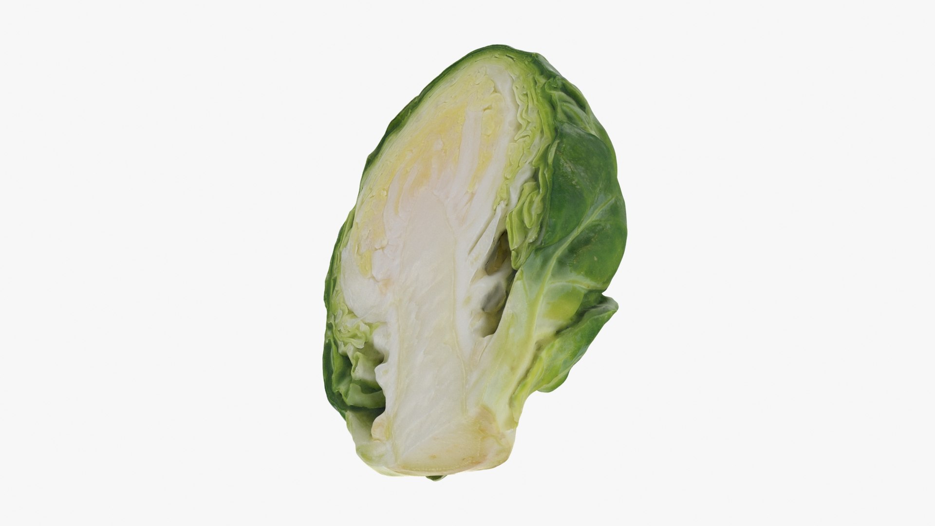 Brussels Sprout Half 01 3D model https://p.turbosquid.com/ts-thumb/vU/CB10Jn/Kh/brusselssproutcut1_b0020/jpg/1735561588/1920x1080/fit_q87/2efb14a345451469ed411cea0655bf7c97791fd5/brusselssproutcut1_b0020.jpg