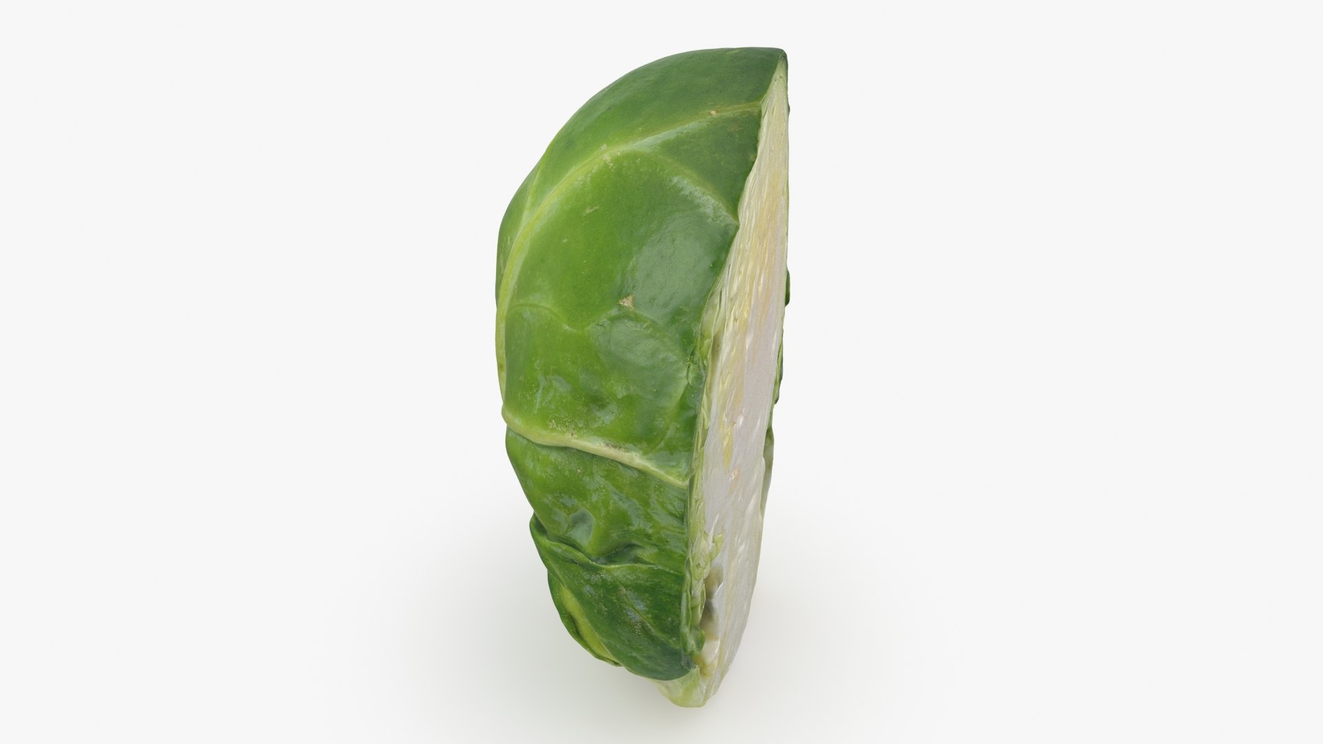 Brussels Sprout Half 01 3D model https://p.turbosquid.com/ts-thumb/vU/CB10Jn/OR/brusselssproutcut1_b0016/jpg/1735561586/1920x1080/fit_q87/83a7fc42a48fe5fdc0e031f82739978cfec28a89/brusselssproutcut1_b0016.jpg
