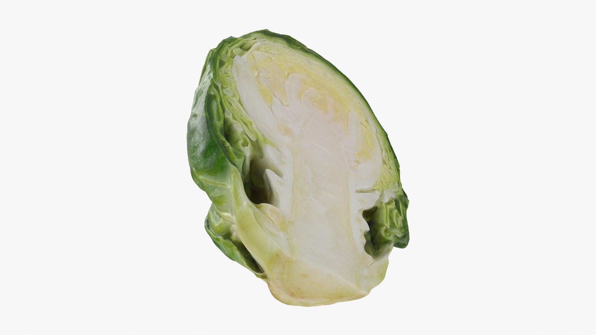 Brussels Sprout Half 01 3D model https://p.turbosquid.com/ts-thumb/vU/CB10Jn/Ta/brusselssproutcut1_b0024/jpg/1735561589/1920x1080/fit_q87/38e0175f7c65081a3790d982e73cecab4494b45a/brusselssproutcut1_b0024.jpg