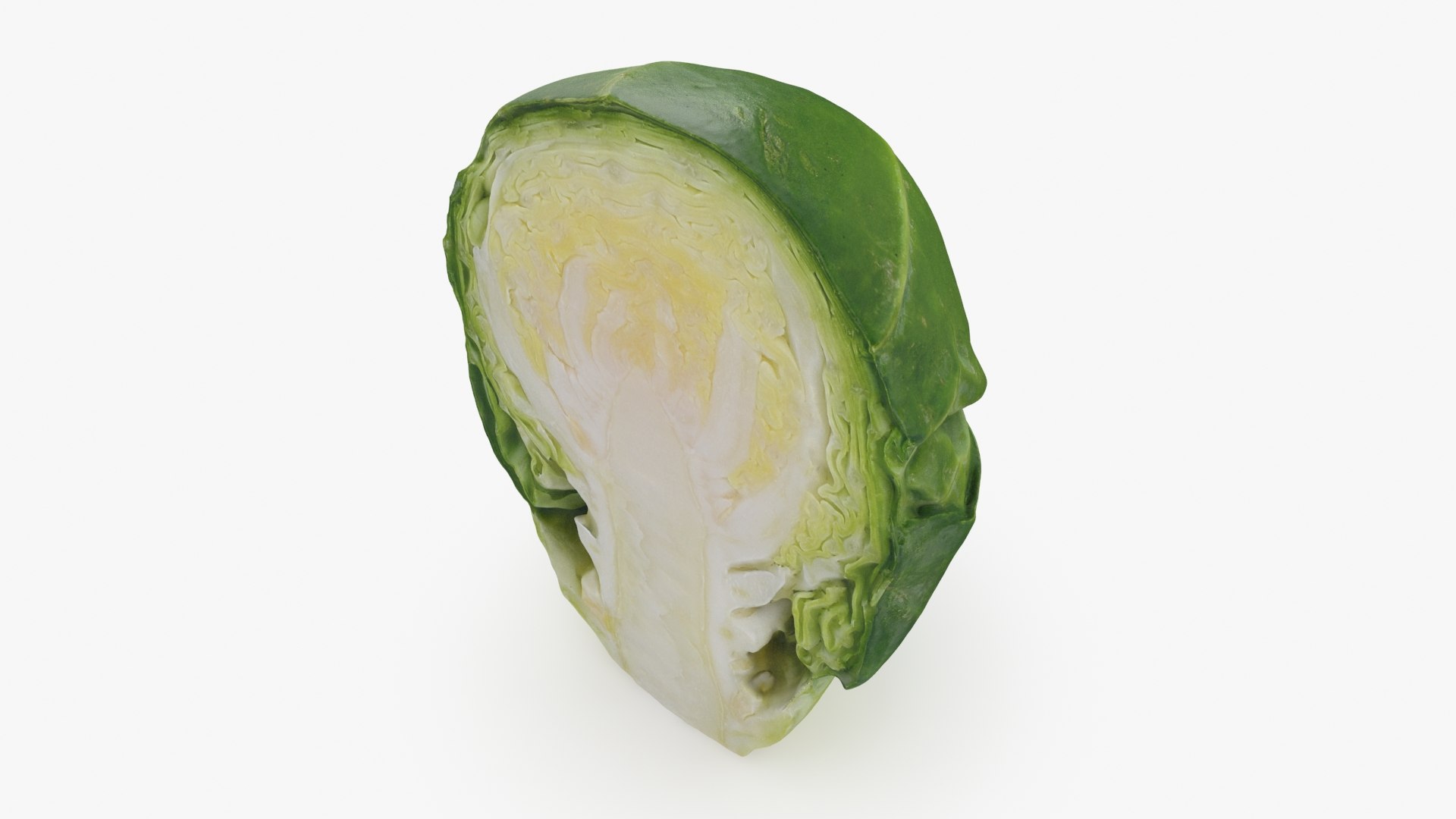 Brussels Sprout Half 01 3D model https://p.turbosquid.com/ts-thumb/vU/CB10Jn/bH/brusselssproutcut1_b0002/jpg/1735561582/1920x1080/fit_q87/14db1df258c5426860af99ae5b78204f5a656877/brusselssproutcut1_b0002.jpg