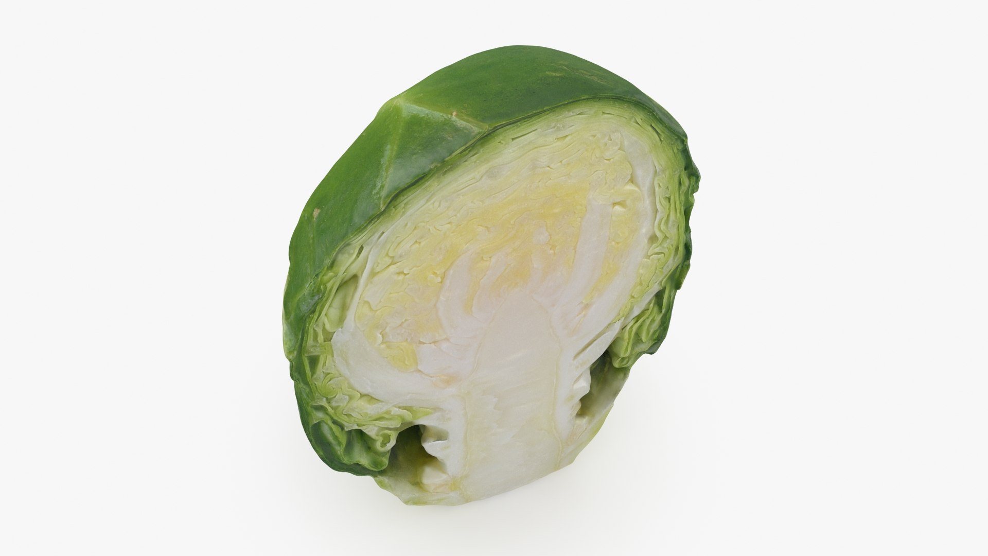 Brussels Sprout Half 01 3D model https://p.turbosquid.com/ts-thumb/vU/CB10Jn/hR/brusselssproutcut1_b0010/jpg/1735561585/1920x1080/fit_q87/e5bdda2fefa90a92c39bccc5d6b286627d8d297d/brusselssproutcut1_b0010.jpg