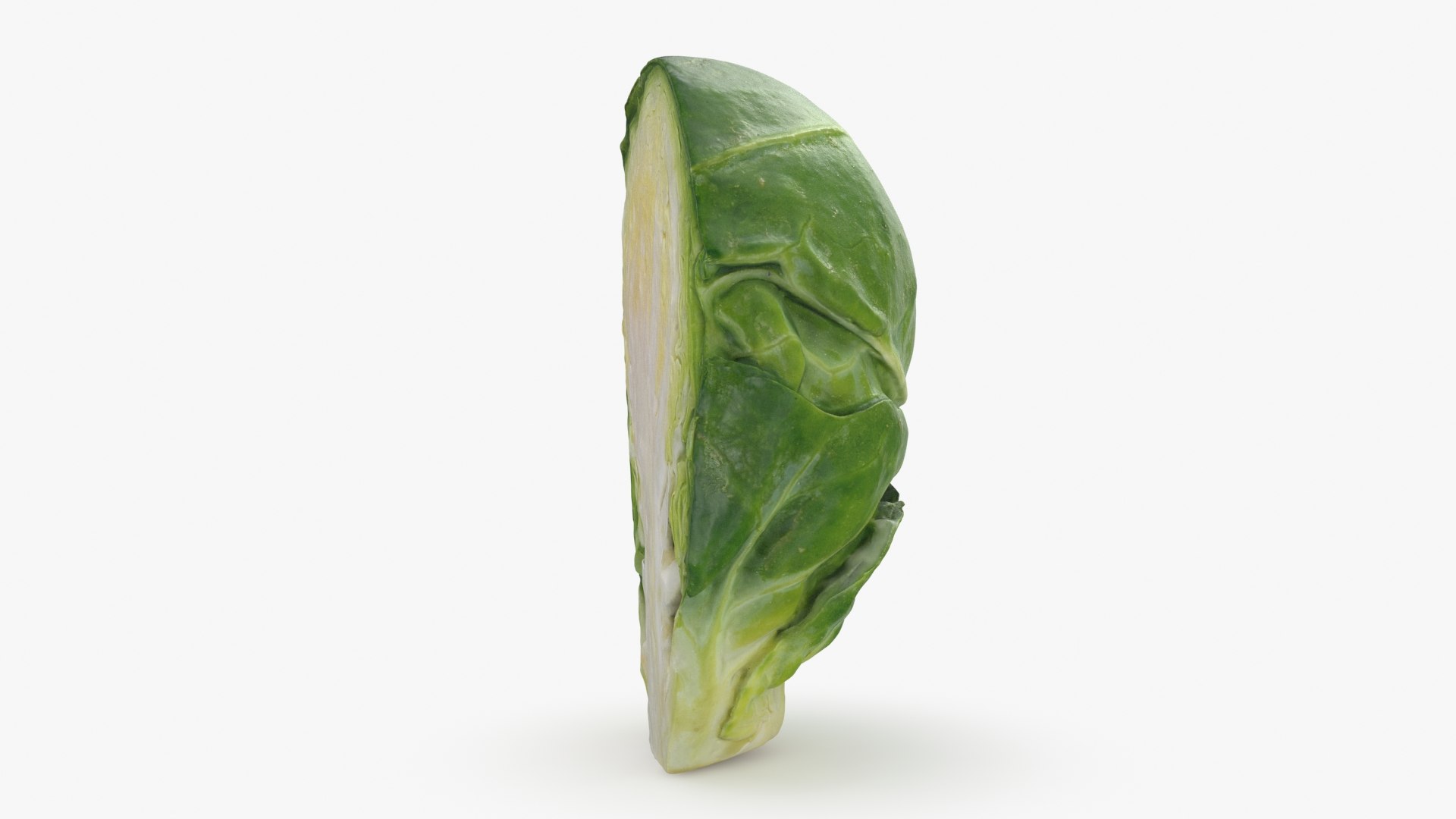 Brussels Sprout Half 01 3D model https://p.turbosquid.com/ts-thumb/vU/CB10Jn/pf/brusselssproutcut1_b0018/jpg/1735561587/1920x1080/fit_q87/bd159ae5e022637cdacd260a8dbf4ea010ca7873/brusselssproutcut1_b0018.jpg