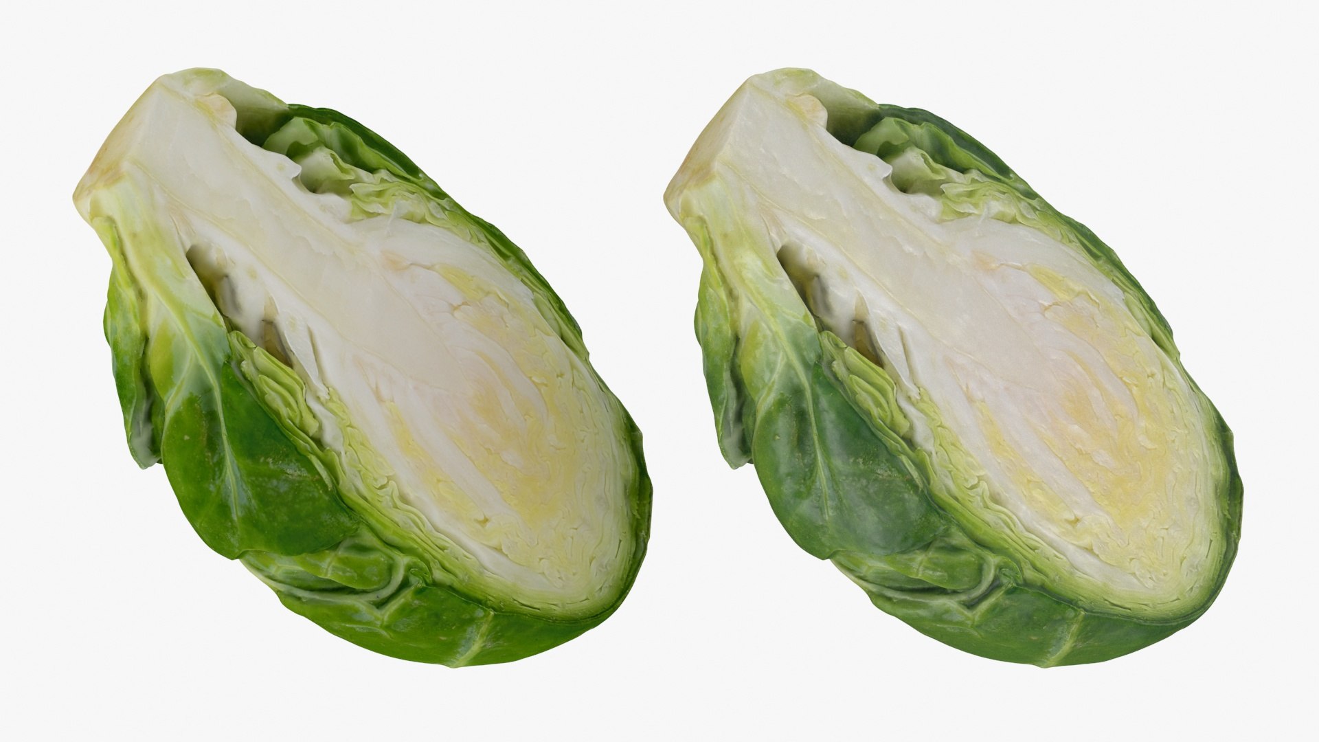 Brussels Sprout Half 01 3D model https://p.turbosquid.com/ts-thumb/vU/CB10Jn/uF/brusselssproutcut1_a0003/jpg/1735561581/1920x1080/fit_q87/1459267043e2934827c7089945918468d5bb0788/brusselssproutcut1_a0003.jpg