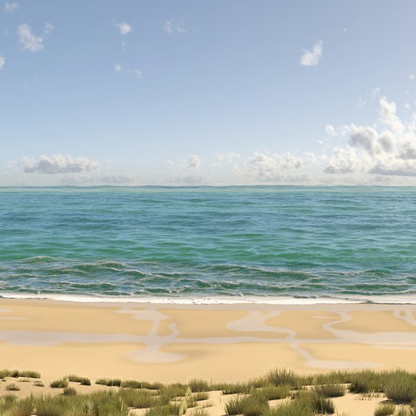 Beach Environment 3D model