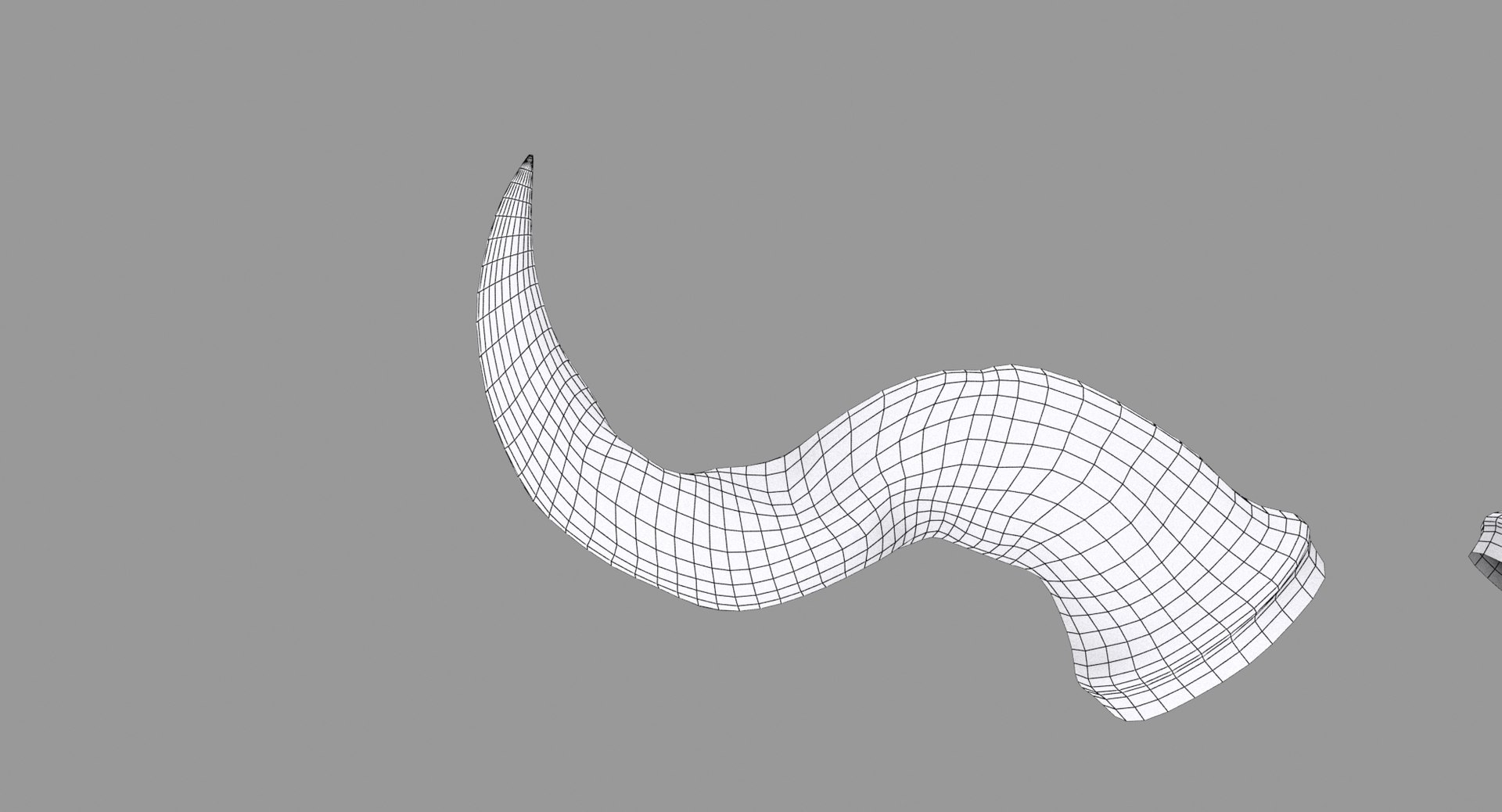 3d Model Horns Skull