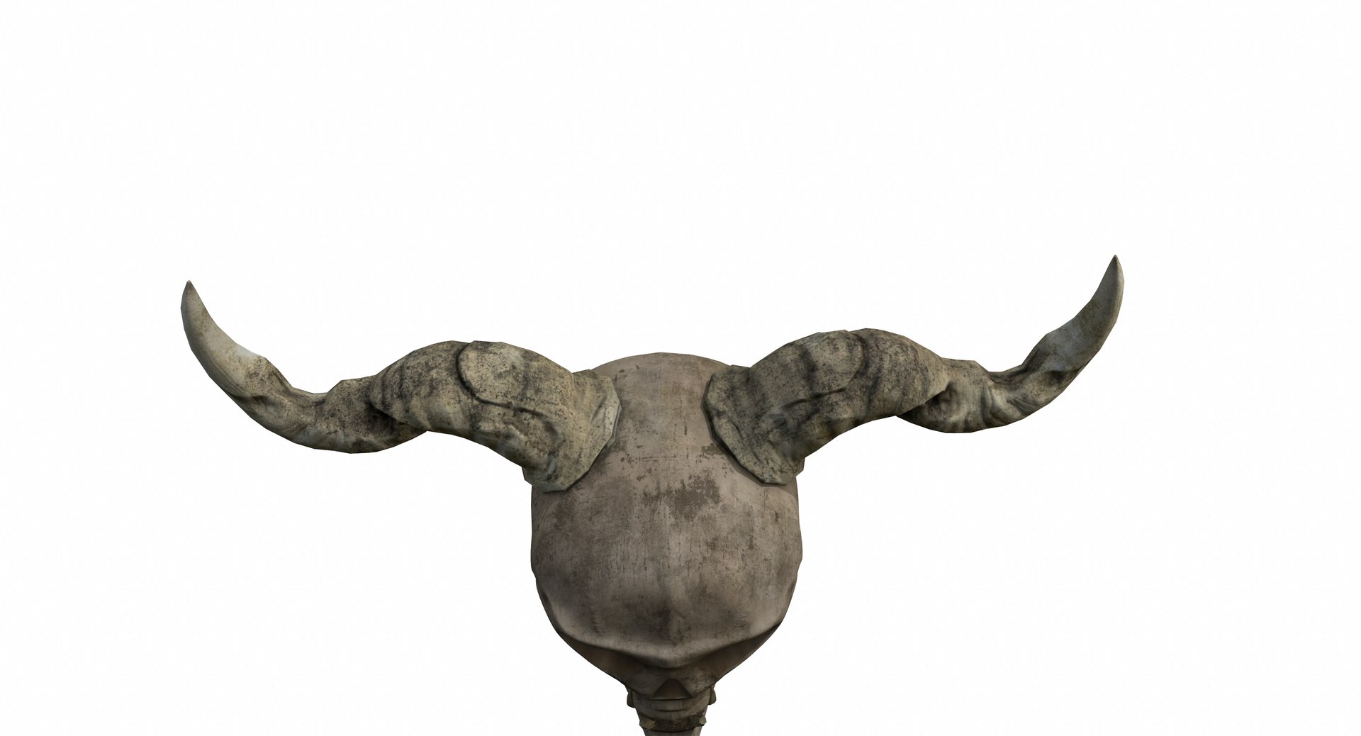 3d Model Horns Skull