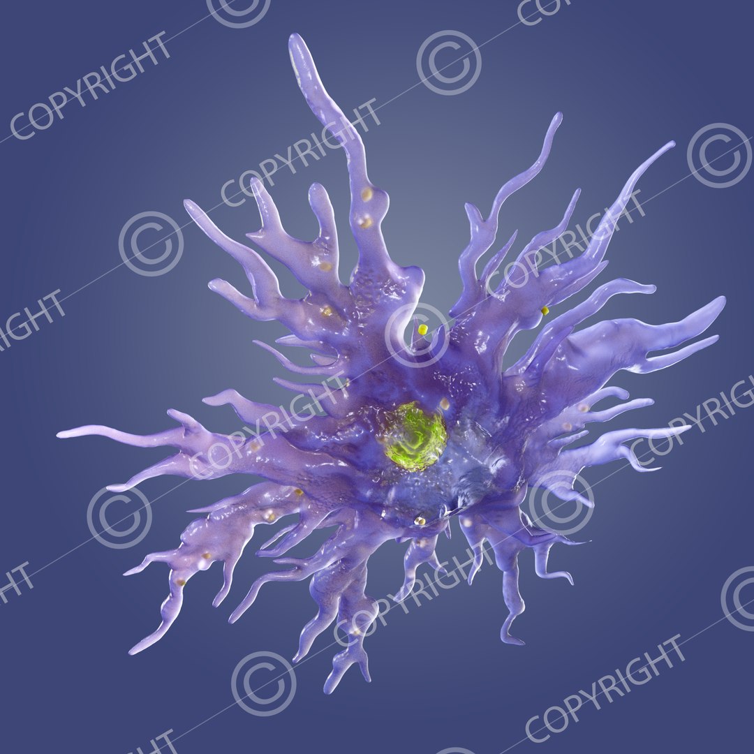 Science Model - TurboSquid 1372686